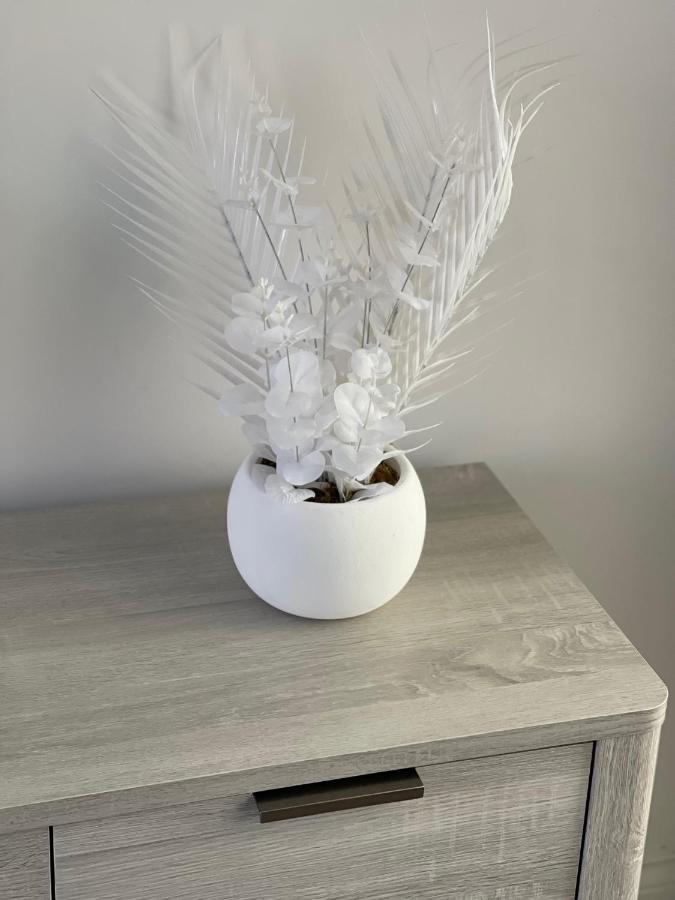 Edith Haven Tynemouth Fabulous Coastal Holiday Home With Free Onstreet Parking Екстериор снимка
